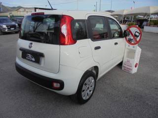 FIAT Panda usata 11