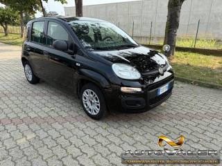 FIAT Panda usata, con Airbag