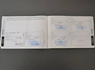 LANCIA Voyager usata, con Interni in pelle