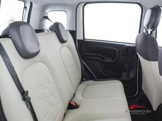 FIAT Panda usata 10