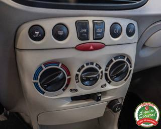 FIAT Punto usata, con Fendinebbia