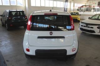 FIAT Panda usata, con Alzacristalli elettrici