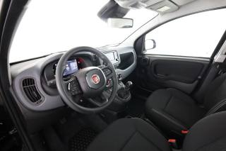 FIAT Panda usata 7