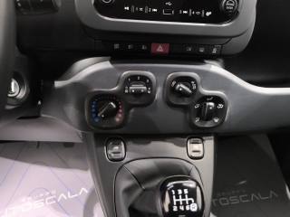 FIAT New Panda usata, con Filtro antiparticolato
