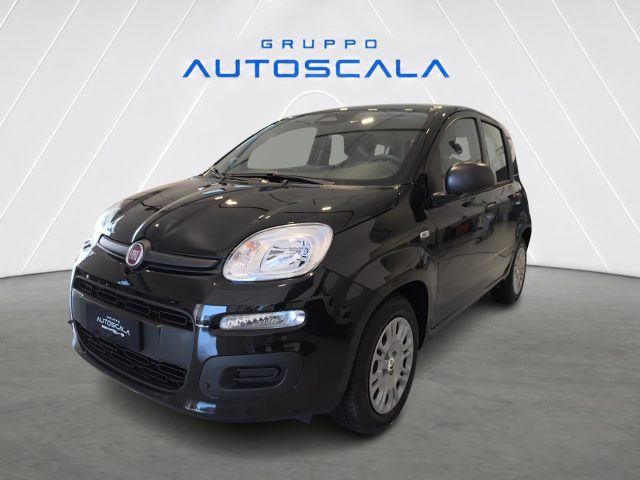 FIAT New Panda usata, con ABS