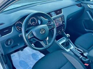 SKODA Octavia usata, con Servosterzo