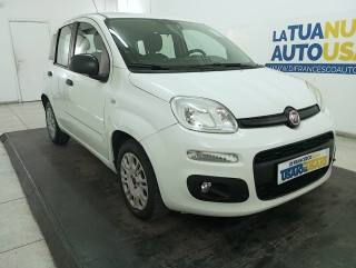 FIAT Panda usata, con Alzacristalli elettrici