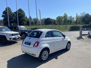 FIAT 500 usata 20