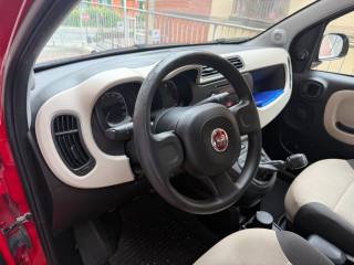 FIAT Panda usata, con Servosterzo