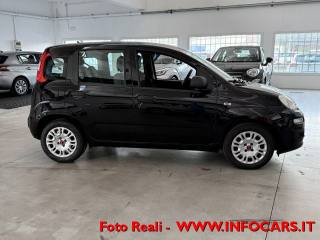 FIAT Panda usata 16