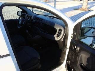 FIAT Panda usata, con Immobilizzatore elettronico