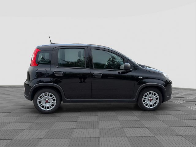 FIAT Panda usata 5