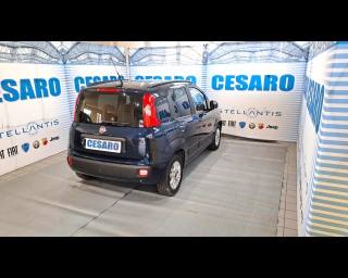 FIAT New Panda usata, con Alzacristalli elettrici