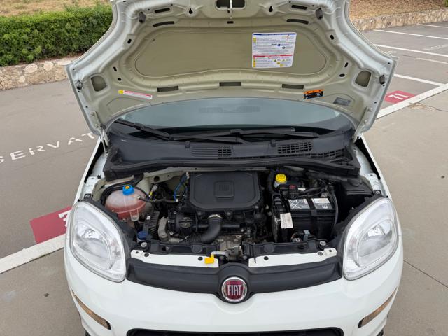FIAT Panda usata 26