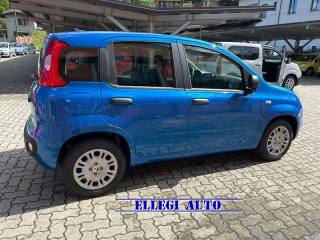 FIAT Panda usata, con Alzacristalli elettrici