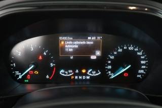 FORD Focus usata 6