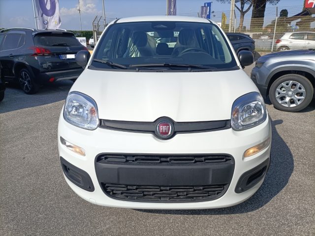 FIAT Panda usata, con Airbag