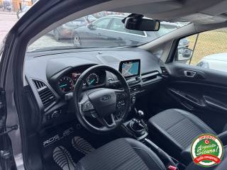 FORD EcoSport usata, con Cronologia tagliandi