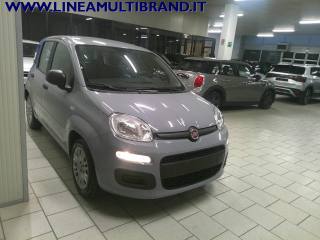 FIAT Panda usata, con Alzacristalli elettrici