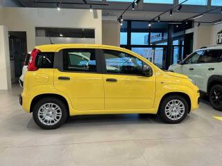 FIAT Panda usata, con Climatizzatore