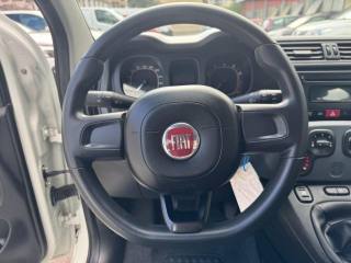 FIAT Panda usata, con Controllo trazione