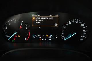 FORD Focus usata 6