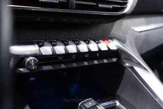PEUGEOT 3008 usata, con Bracciolo