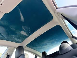 TESLA Model 3 usata 19