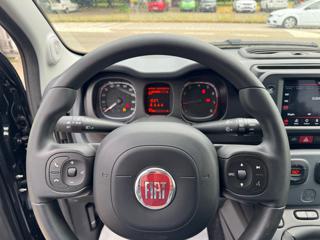 FIAT Panda Cross usata, con Cerchi in lega