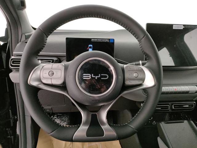 BYD Dolphin Surf usata, con Controllo automatico clima
