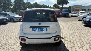 FIAT Panda usata, con Airbag Passeggero