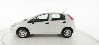 FIAT Punto usata 19