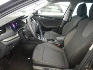 SKODA Octavia usata, con Autoradio