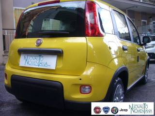 FIAT Panda usata, con Immobilizzatore elettronico