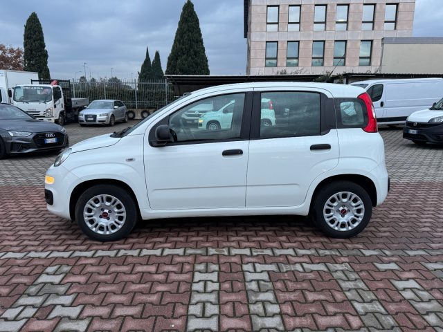 FIAT New Panda usata, con Airbag Passeggero