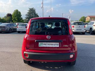 FIAT Panda usata, con Boardcomputer