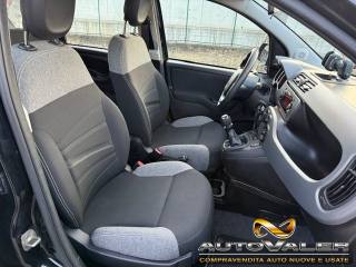 FIAT Panda usata, con Controllo trazione