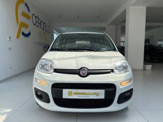 FIAT Panda usata, con Airbag Passeggero