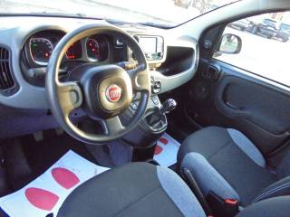 FIAT Panda usata 24
