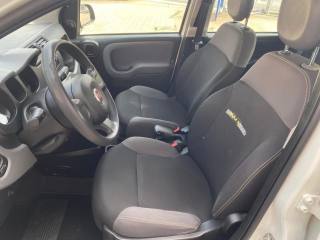 FIAT Panda usata 15