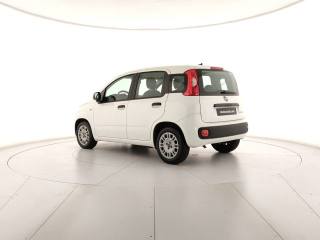 FIAT Panda usata, con Airbag Passeggero