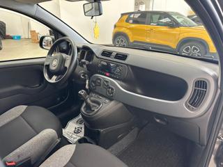 FIAT Panda usata 14