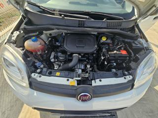 FIAT Panda usata 20