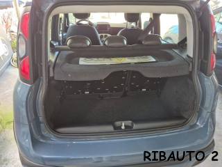 FIAT Panda Cross usata, con Climatizzatore