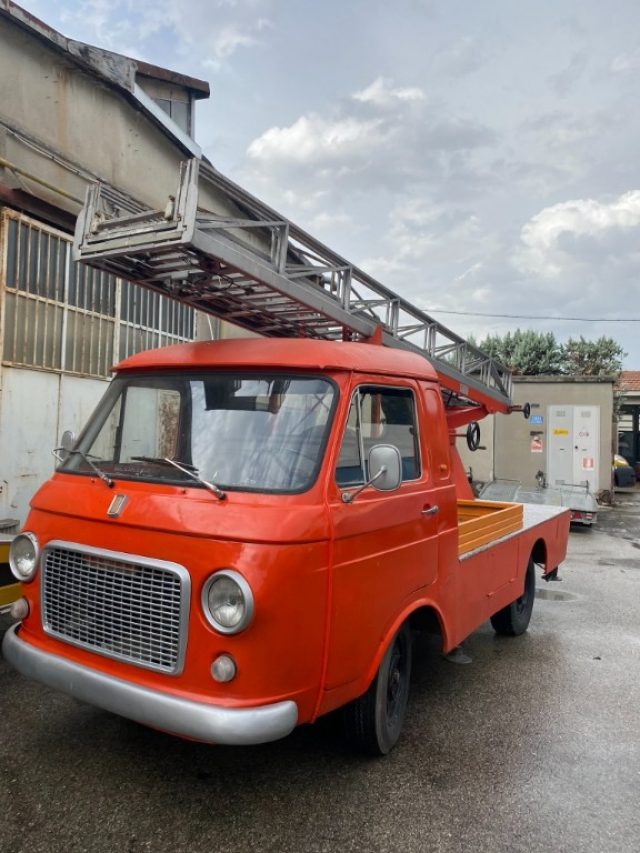 FIAT 242 usata 2