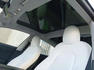 TESLA Model 3 usata, con Cruise Control