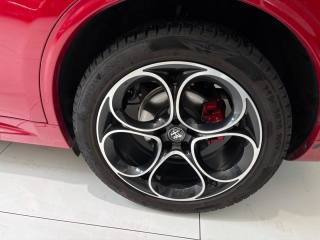 ALFA ROMEO Stelvio usata, con Fendinebbia