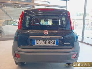 FIAT Panda usata, con Alzacristalli elettrici
