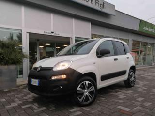 FIAT Panda usata, con Controllo trazione