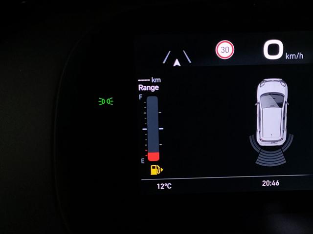 FIAT Panda Cross usata, con Autoradio digitale